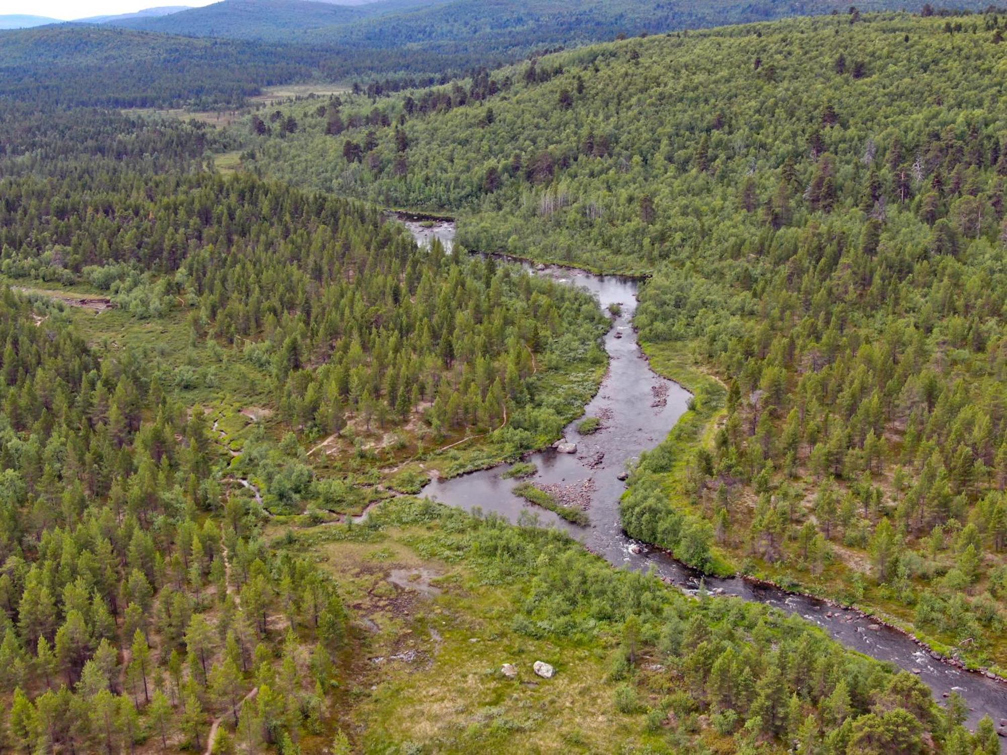Muotkan Ruoktu Tunturikyla Inari Luaran gambar
