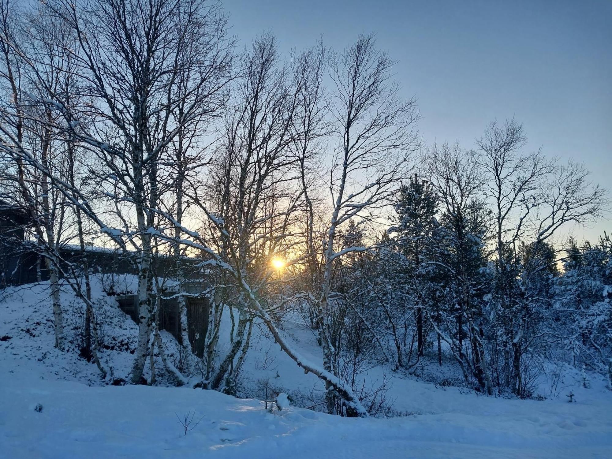 Muotkan Ruoktu Tunturikyla Inari Luaran gambar