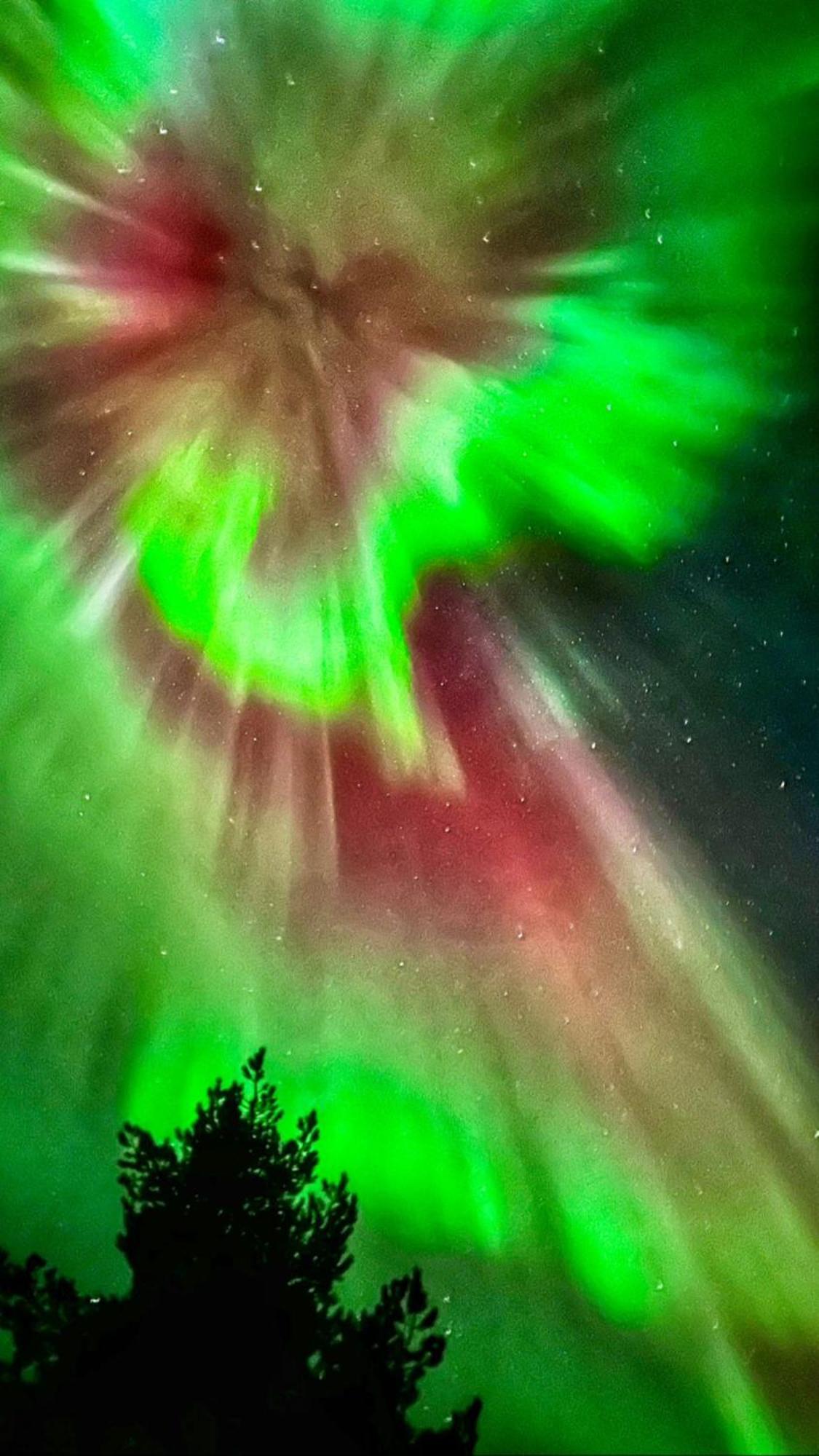 Muotkan Ruoktu Tunturikyla Inari Luaran gambar
